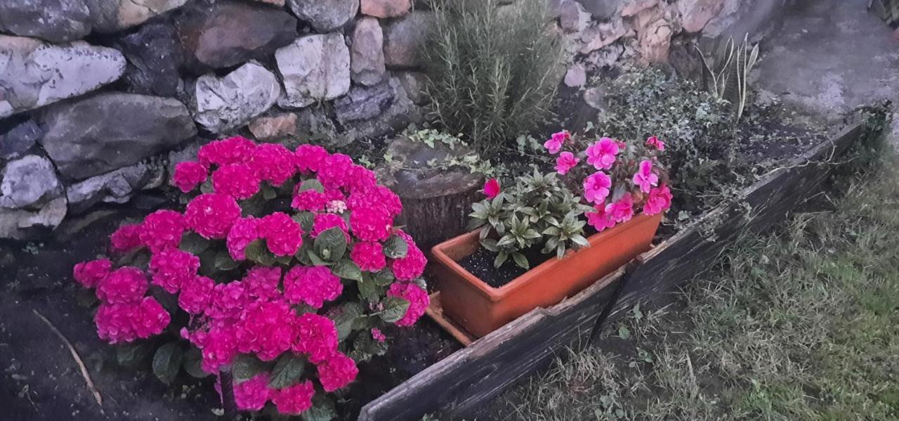 הוילה לאנס La Casa De Abajo מראה חיצוני תמונה